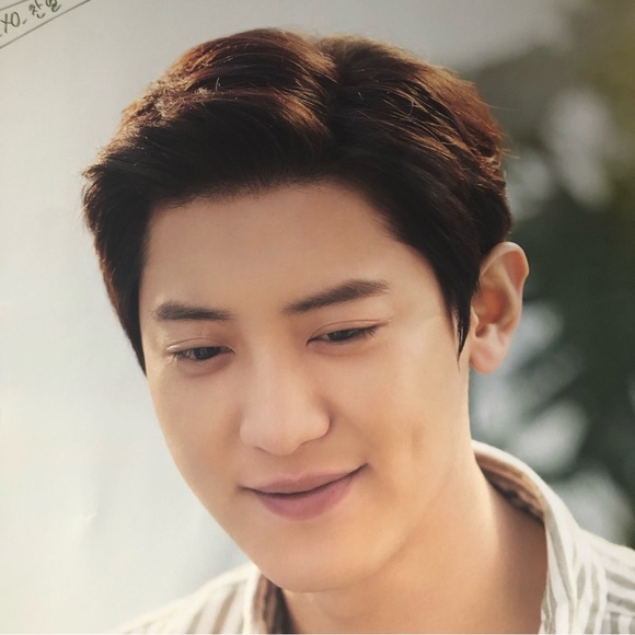 EXO Chanyeol Nature Republic Poster + Random Chanyeol Photo Card - Picture 3 of 7